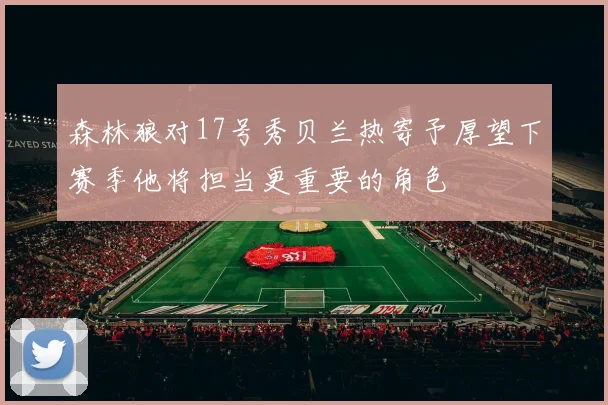 森林狼对17号秀贝兰热寄予厚望下赛季他将担当更重要的角色