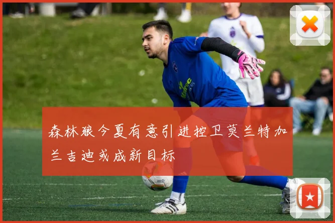 森林狼今夏有意引进控卫莫兰特加兰吉迪或成新目标