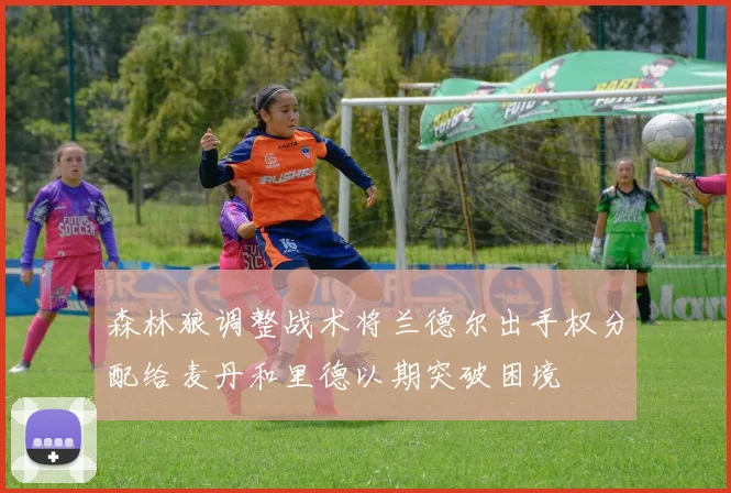 森林狼调整战术将兰德尔出手权分配给麦丹和里德以期突破困境